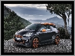 Citroen, DS3